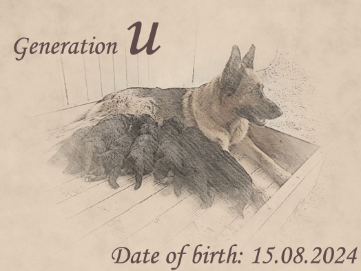 Litter by Nicko von Evksinograd x Gabbi von Evksinograd