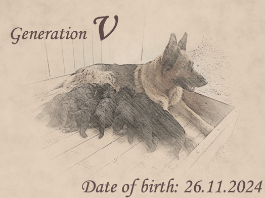 Litter by Zet vom Napte-Emmer-Eck x Marcia von Evksinograd