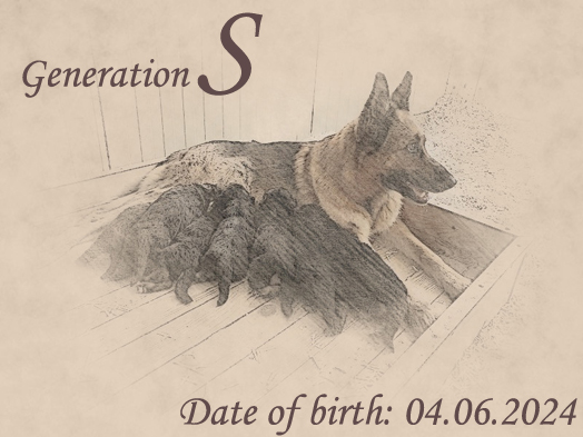 Litter by Mio vom Team Hühnegrab x Jaya von Evksinograd