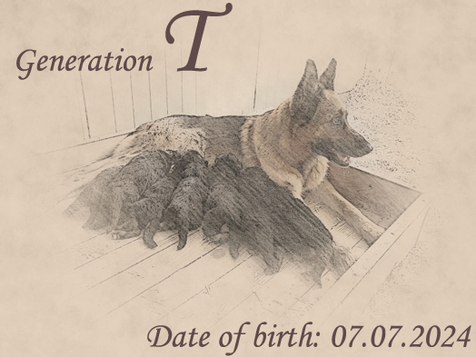 Litter by Xiras von Evksinograd x Naomi von Evksinograd