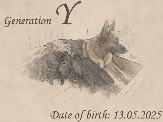 Litter by Xiras von Evksinograd x Nara von Evksinograd