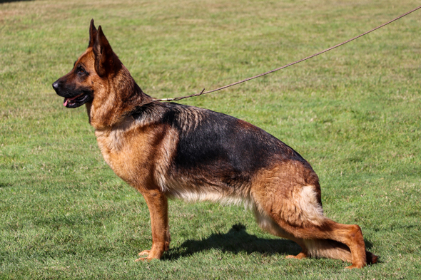 Marcia von Evksinograd