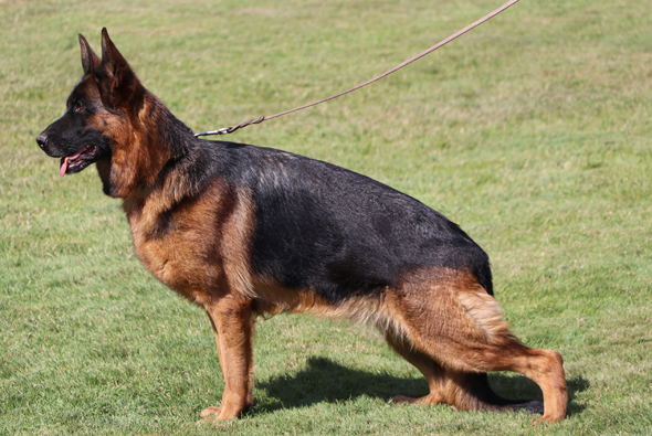 Naomi von Evksinograd